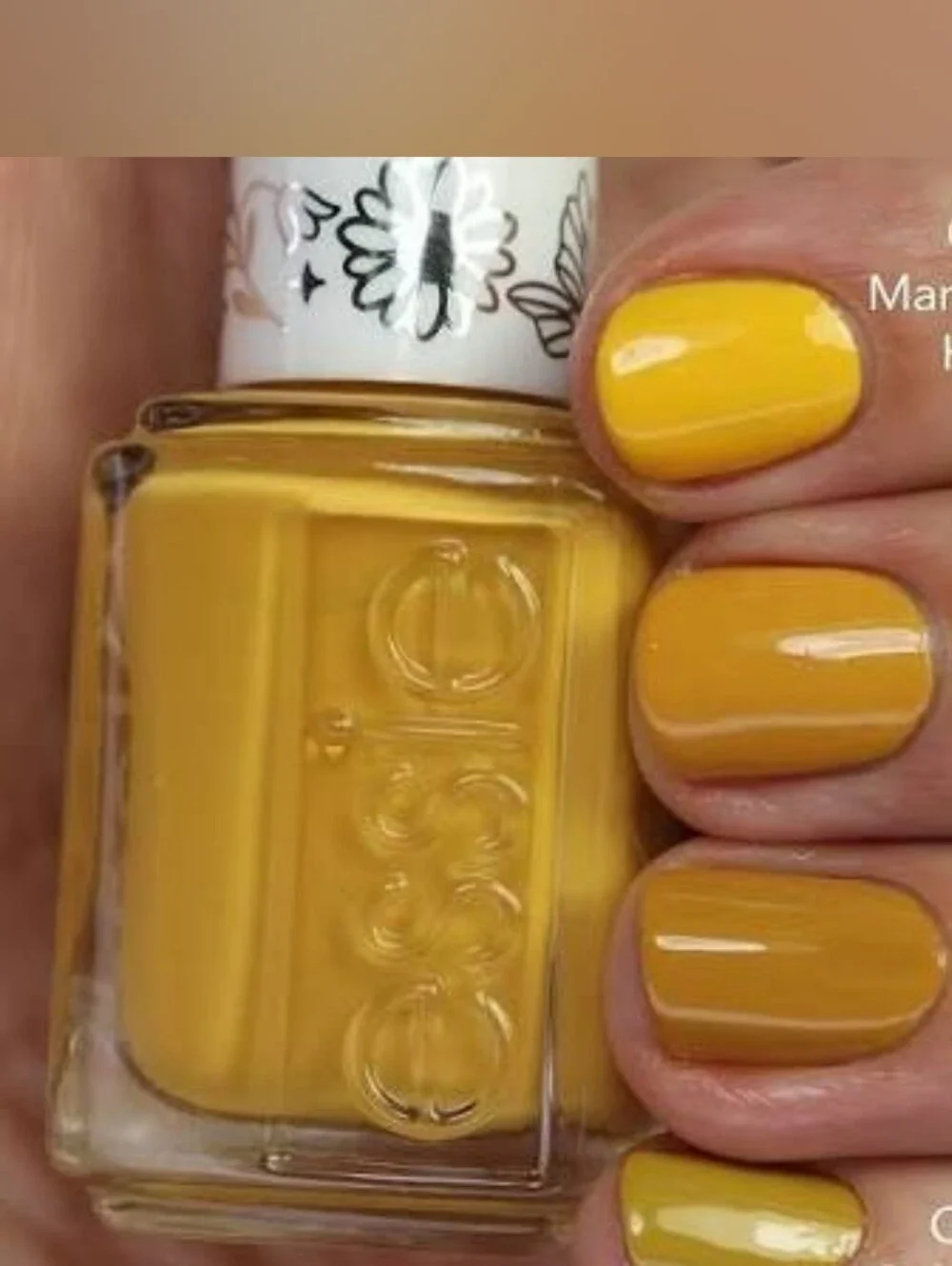 NWT ESSIE COLOR: LIGHT & FAIRY!